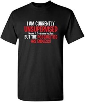 I Am Currently Unsupervised Possibilities are Endless Joke Mens Funny T Shirt