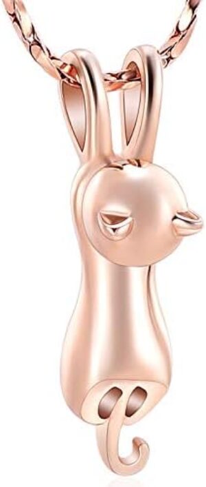 Imrsanl Pet Cremation Jewelry for Ashes Memorial Ash Jewelry Keepsake Cat Urn Pendants for Animal Ashes Necklace