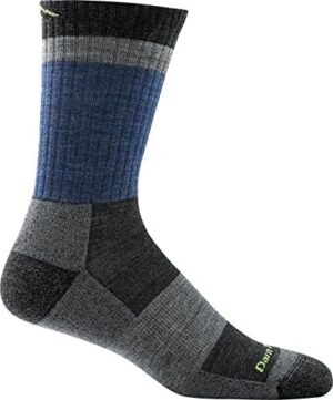 Darn Tough Men's Heady Stripe Micro Crew Light Cushion Sock (Style 1924) -