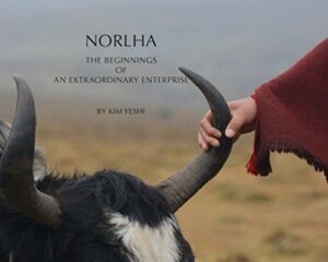 Norlha, The Beginnings of an Extraordinary Enterprise