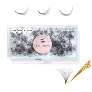 500 Promades Eyelash Fans| 5D-20D, 0.03-0.05-0.07 Thickness, C/CC/D Curls, 8-18mm| Volume Lash Extensions Premade Lash Fans Pro Pre Made False Eyelashes Pestañas Pelo A Pelo(20D-0.03-C-10)