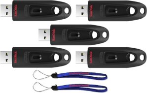 SanDisk 32GB (Five Pack) USB 3.0 Flash Ultra Memory Drive CZ48 - Bundle with (2) Everything But Stromboli Lanyard