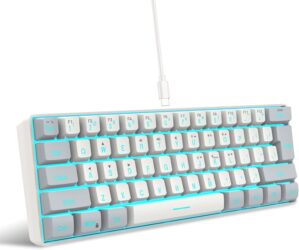 Snpurdiri 60% Wired Gaming Keyboard, RGB Backlit Mini Keyboard, Waterproof Small Ultra-Compact 61 Keys Keyboard for PC/Mac Gamer, Typist, Travel, Easy to Carry on Business Trip(Grey-White)
