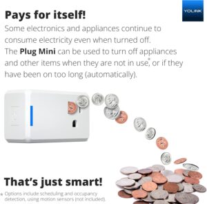 YoLink Smart Home Starter Kit: Security & Leak Detection Kit (Hub, Door Sensor, Water Leak Sensor, Plug Mini Compatible with Alexa, LoRa-Powered 1/4 Mile Range