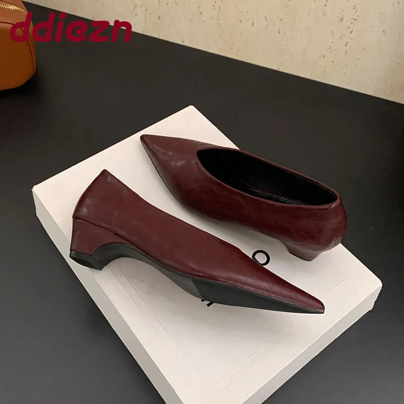 2025 New Fashion Shallow Ladies Low Heel Pumps Shoes Luxury Female Pointed Toe Footwear Slip On Women Heeled Shoes