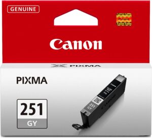 Canon CLI-251 Genuine Gray Ink Tank, Compatible with MG6320, MG7120, iP8720, and MG7520 Printers