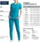 V-Neck Womens Scrubs Top Workwear Originals with Rib-Knit Back Panels WW645