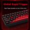 Hyekit x FGG MADLIONS MAD 60 HE RGB 60% Wired Magnetic Switch Mechanical Gaming Keyboard with Adjustable Actuation, Rapid Trigger Mode, 16 Million Colors RGB Lighting, for PC/Mac Gamer, Black
