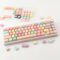 PBT Keycaps 126 Keys MOA Profile Cute Keycaps Dye-Sublimation Rainbow Candy Keycaps Set Custom Keycaps for Cherry Gateron MX Swithes Mechanical Keyboards