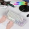 Snpurdiri 60% Wired Gaming Keyboard, RGB Backlit Mini Keyboard, Waterproof Small Ultra-Compact 61 Keys Keyboard for PC/Mac Gamer, Typist, Travel, Easy to Carry on Business Trip(Grey-White)