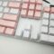 OEM Profile White Blank Keycaps PBT Material 1U R4 Keycap for MX switches Mechanical Keyboard (White, 20pcs)