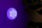 BlissLights BlissEmber – Color Changing LED Plug in Night Light, Motion Sensor, Compatible with Google Home and Alexa (1-Pack)