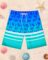 Boys Two Piece Rash Guard and Swim Trunks Outfit Set Kids Short Sleeve Swimsuit