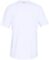 Under Armour Men’s Tech 2.0 Short-sleeve T-shirt