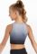 Balera Crop Top Girls Top for Dance Sleeveless Ombré Crew Neck with High Support