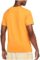 Nike mens Dri-Fit Sportswear Logo Shorts Sleeve T Shirt