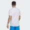 adidas Men’s Seasonals Tee
