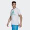 adidas Men’s Seasonals Tee
