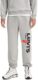 Levi’s Men’s Seasonal Sweatpants, (New) Vertical Pant Mhg Graphic, X-Large Grey