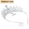 2 Pack Birthday Tiaras and Crowns for Women Princess Girls Bridal Wedding Prom Queen Pageant Crystal Fashion Headband with Combs Silver