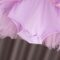 Dressy Daisy Princess Ballet Tutu Dress Fancy Dance Wear Ballerina Costume Outfit Dancewear for Toddler & Little Girls