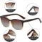 DUSHINE Polarized Sunglasses for Women Classic Retro Style 100% UV Protection