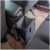 Fekey&JF Foldable Car Trash Can, Hanging Waterproof Leakproof Trash Can Storage Bag for Car with Large Capacity, Car Interior Accessories (Large)