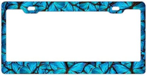 DZGlobal Blue Butterflies Car Plate Tag Accessories Metal License Plate Frame