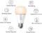 Kasa Smart Light Bulb KL110, LED Wi-Fi smart bulb works with Alexa and Google Home, A19 Dimmable, 2.4Ghz, No Hub Required, 800LM Soft White (2700K), 9W (60W Equivalent)