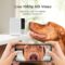 Petcube Cam | Indoor Wi-Fi Pet and Security Camera with Phone App, Pet Monitor with 2-Way Audio and Video, Night Vision, 1080p HD Video and Smart Alerts for Ultimate Home Security
