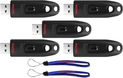 SanDisk 32GB (Five Pack) USB 3.0 Flash Ultra Memory Drive CZ48 – Bundle with (2) Everything But Stromboli Lanyard