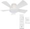 Vox Smart Indoor and Outdoor 5-Blade Flush Mount Ceiling Fan 38in Matte White with 3000K LED Light Kit and Remote Control works with Alexa, Google Assistant, Samsung Things, and iOS or Android App