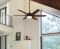 Westinghouse 74002B00 Transitional Cayuga, Smart WiFi Ceiling Fan Compatible with Amazon Alexa and Google Home with LED Light, Remote Control, 60 Inch, Black-Bronze Finish, Frosted Opal Glass